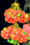 40 Seeds Orange SCOTCH BONNET PEPPER Hot Jamaican Capsicum Annuum Vegetable