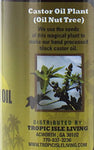 Jamaican Black Castor Oil, 4 Fl Oz