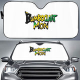 Auto Sun Shade
